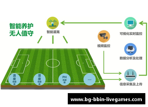 球场风云：颠覆惯例！一次性处罚多人刷新纪录